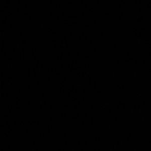 Meet your Posher, Ester